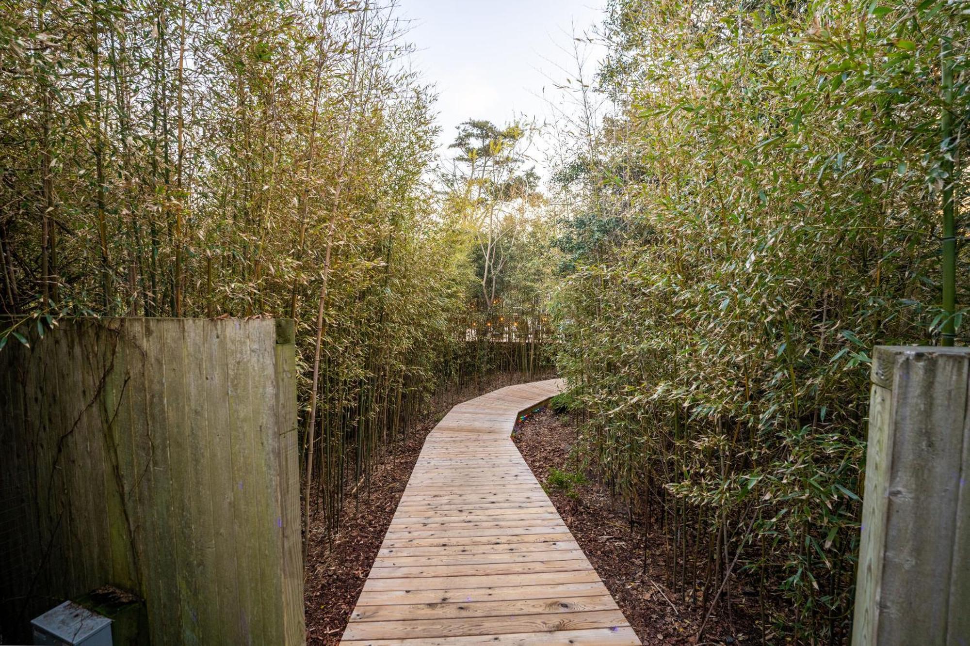 The Madison Fire Island Pines Hotel Bagian luar foto